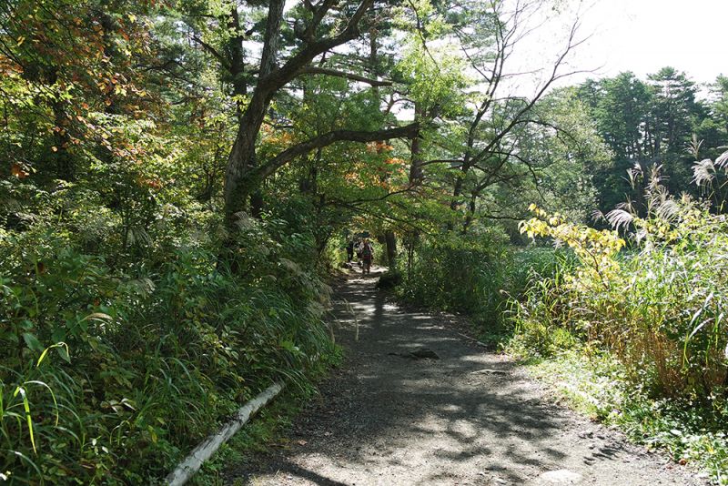 五色沼と周辺の湖沼を結ぶ脇道